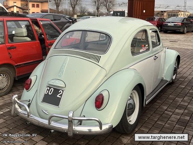 maggiolinofrabo20230128.jpg