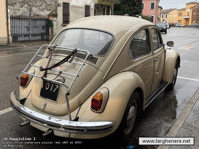 maggiolinofrabo20230131.jpg