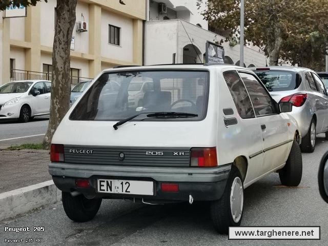 peugeot205super20720230216.jpg