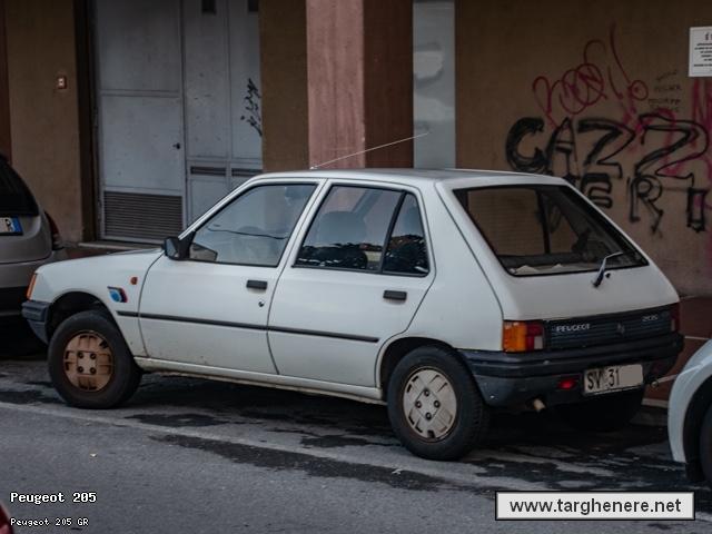 peugeot205silverfox20230219.jpg