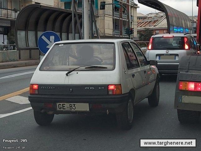 peugeot205biohazard20230302.jpg