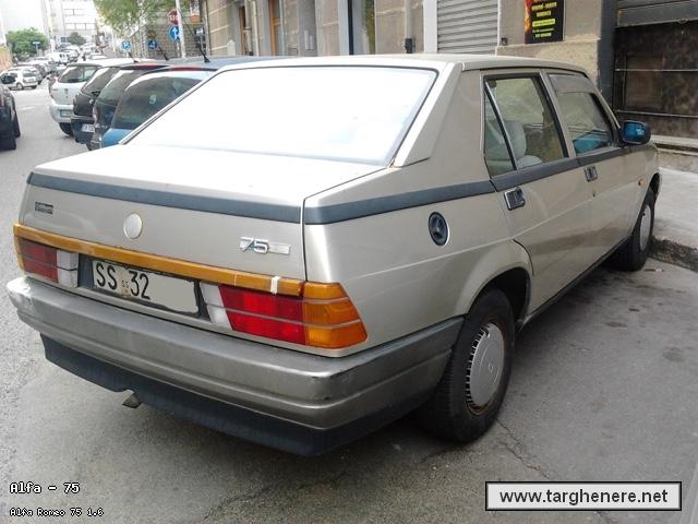 alfa75total20230305.jpg