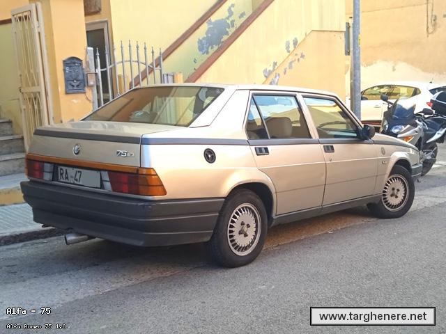 alfa75total20230402.jpg