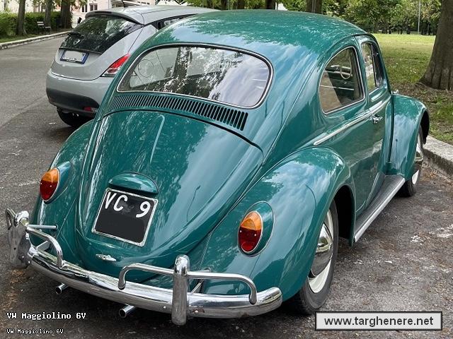 maggiolinofrabo20230514.jpg