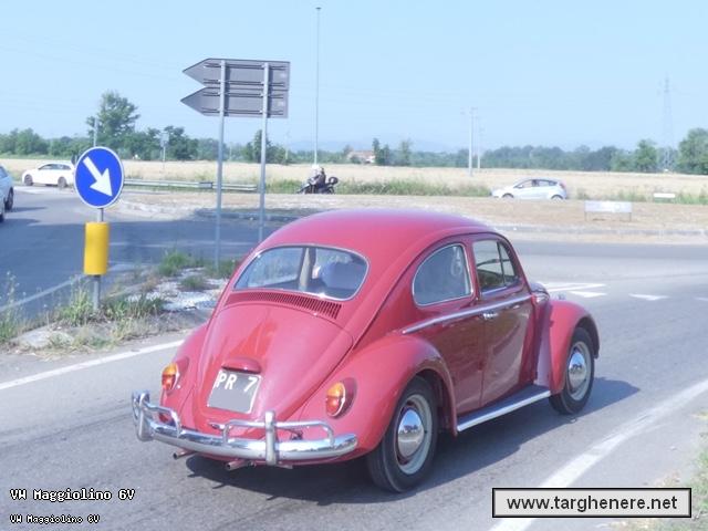maggiolinoluka9620230624.jpg