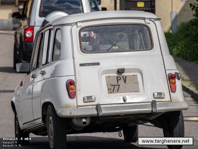 r4silverfox20230628.jpg