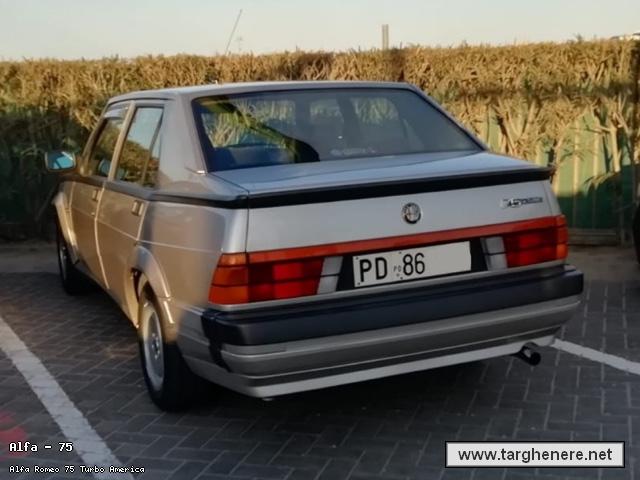 alfa75famvit20230703.jpg