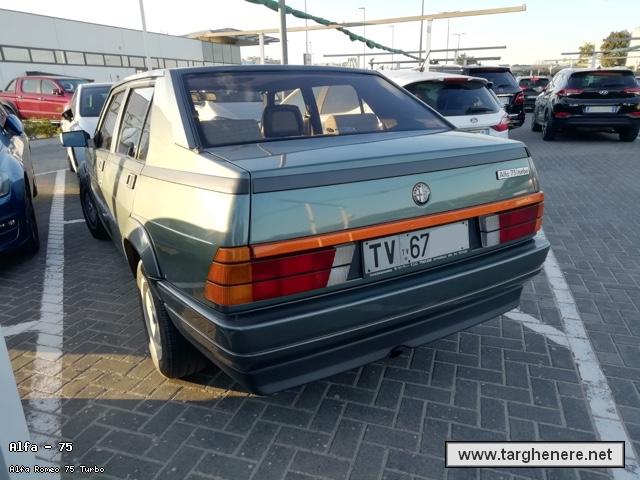 alfa75famvit20230706.jpg