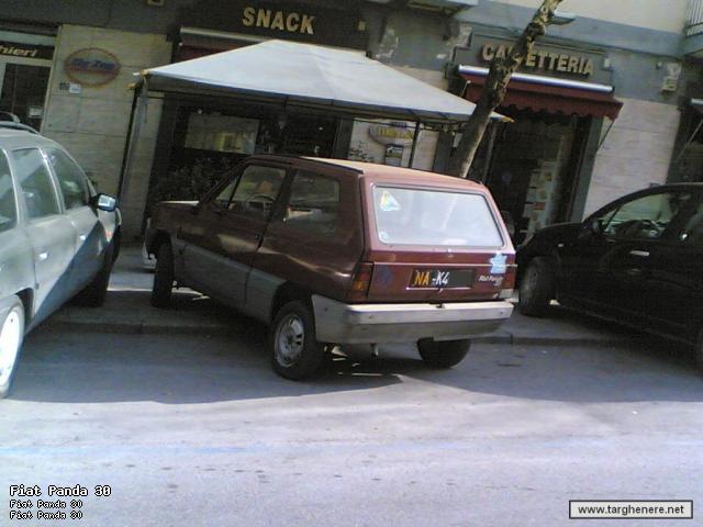 panda301983making.jpg