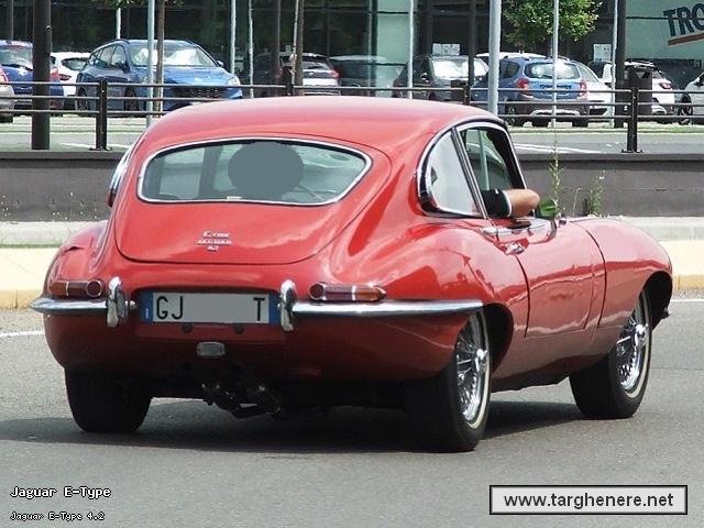 jaguaretypefil20230720.jpg