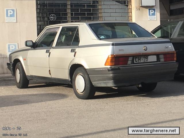 alfa75frabo20230725.jpg