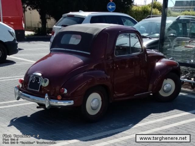 topolinosampei20230912.jpg
