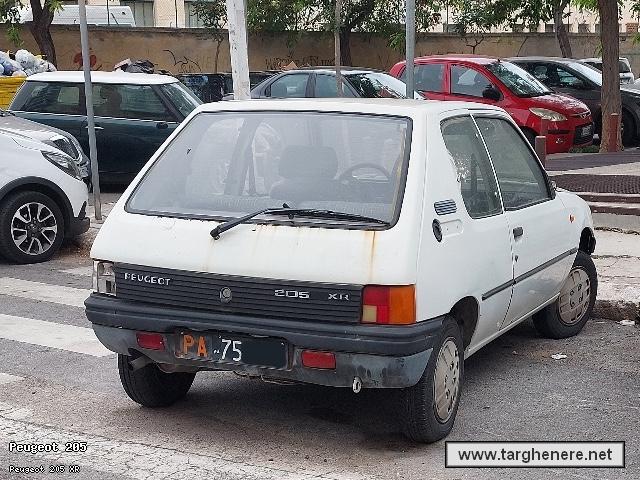 peugeot205dalcio20230913.jpg
