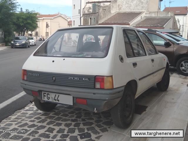 peugeot205targhemodenesi20230918.jpg