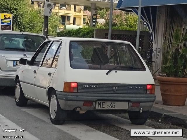 peugeot205kanonx20230920.jpg