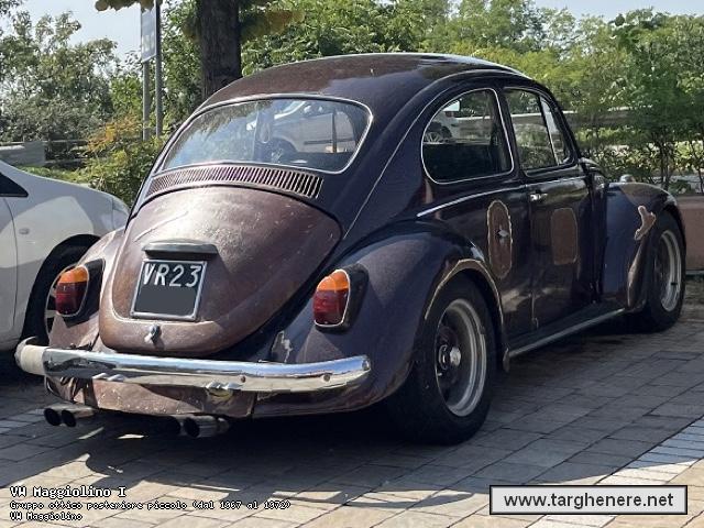 maggiolinofrabo20230921.jpg