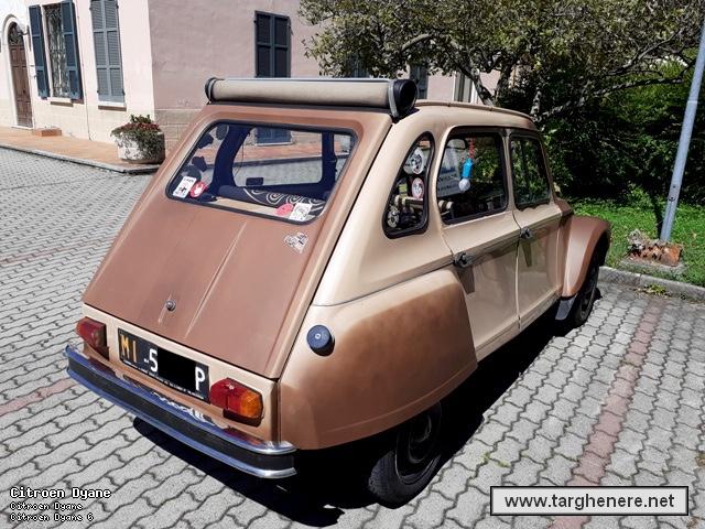 citroendyanedanip20231010.jpg