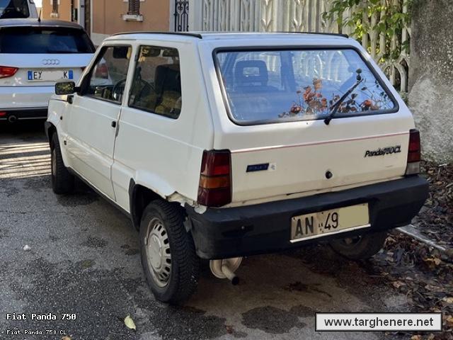 fiatpandafrabo20240111.jpg