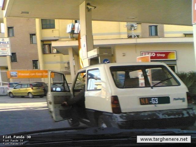 panda30mak81.jpg