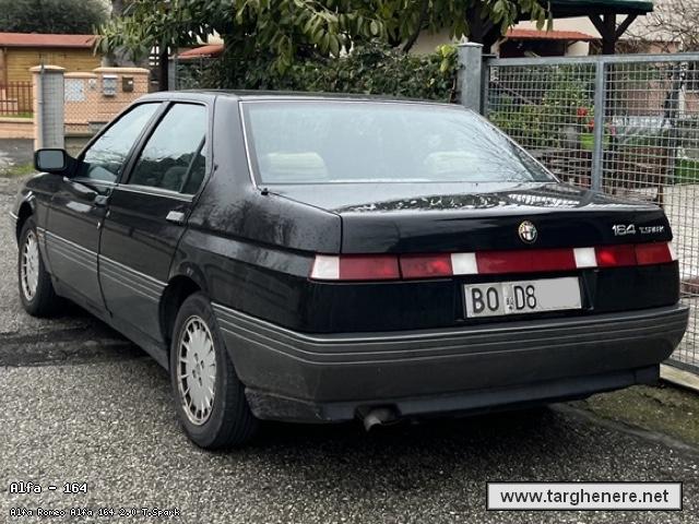 alfa16420240316.jpg