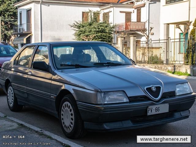 alfa164silverfox20240319.jpg