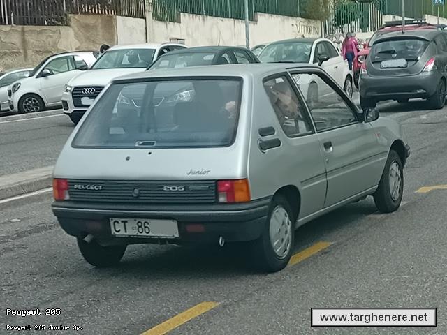peugeot205francesco240d20240410.jpg