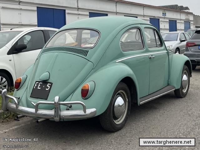maggiolinofrabo20240416.jpg