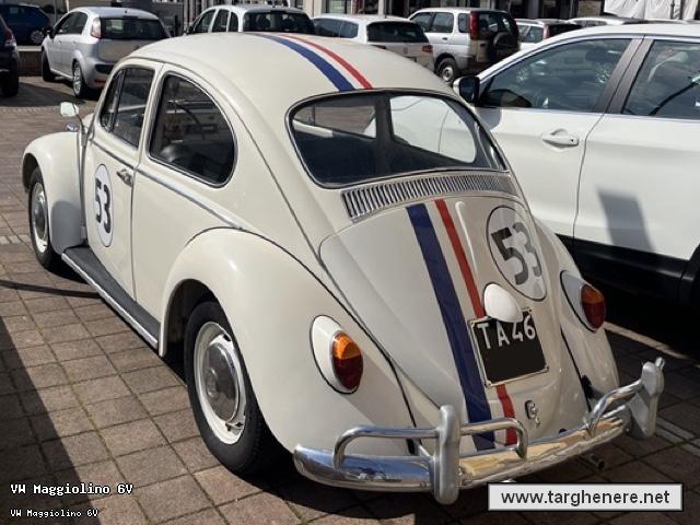 maggiolinofrabo20240418.jpg
