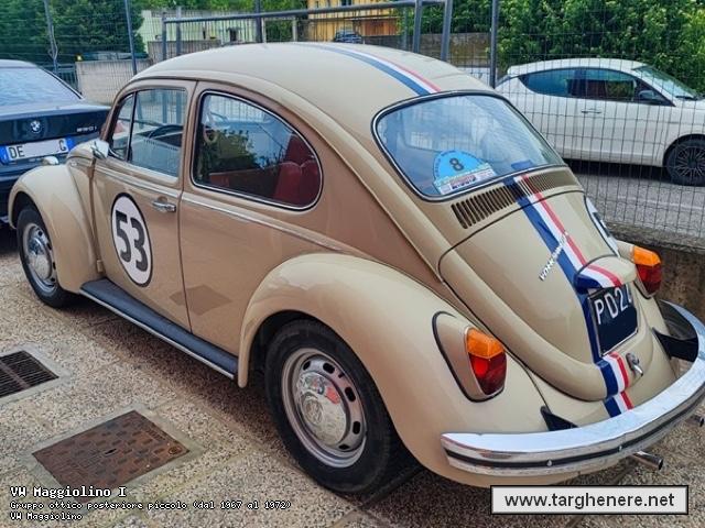 maggiolinofrabo20240419.jpg