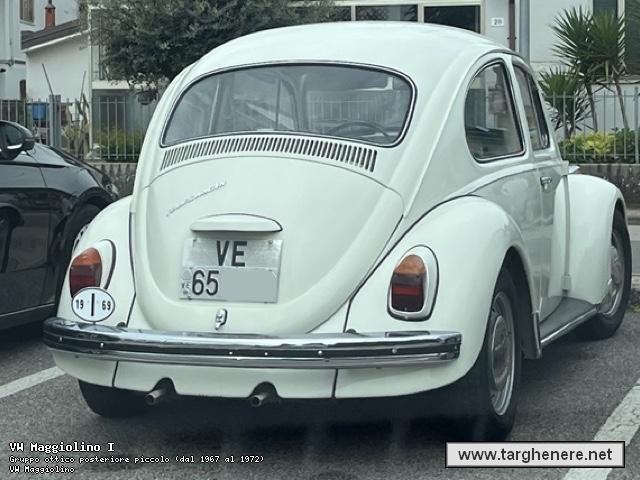 maggiolinofrabo20240511.jpg