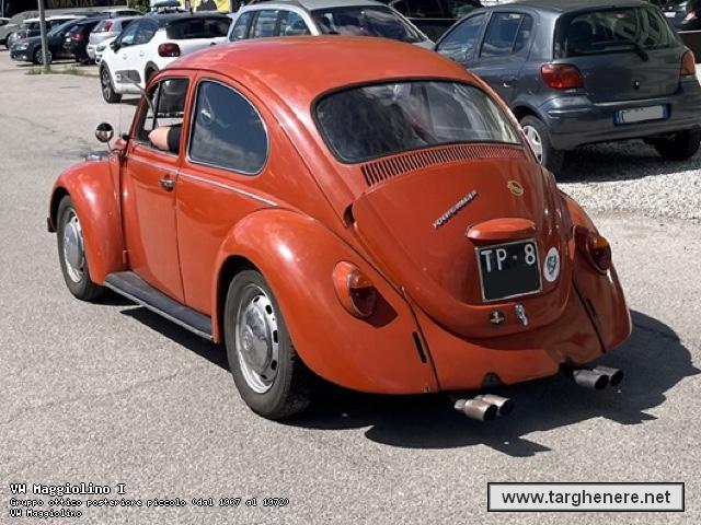 maggiolinofrabo20240526.jpg