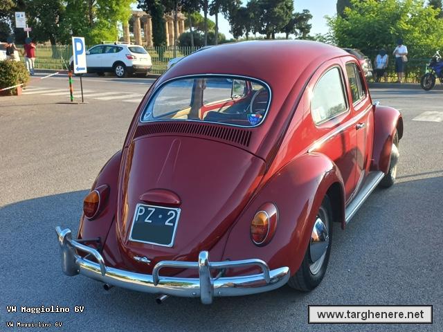 maggiolinoargiuliasuper20240613.jpg