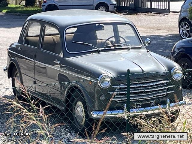 fiat1100frabo20240615.jpg