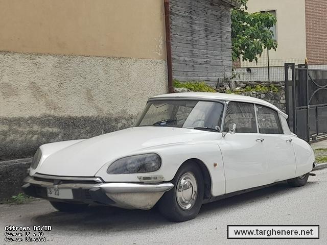 citroendstonymura20240623.jpg