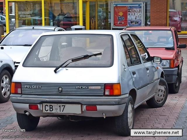 peugeot205tonymura20240807.jpg