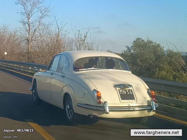 jaguar240dariomontrone20240824.jpg