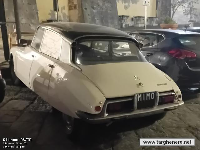 citroendstonymura20240902.jpg