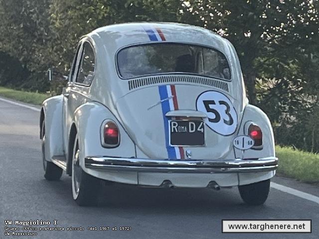 maggiolinofrabo20241003.jpg