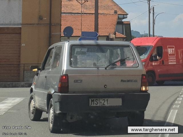 fiatpandaluka9620241011.jpg