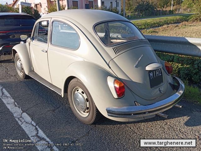 maggiolinoalfa3320241013.jpg