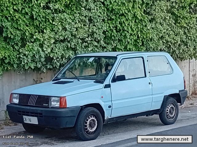fiatpandatonyura20241014.jpg