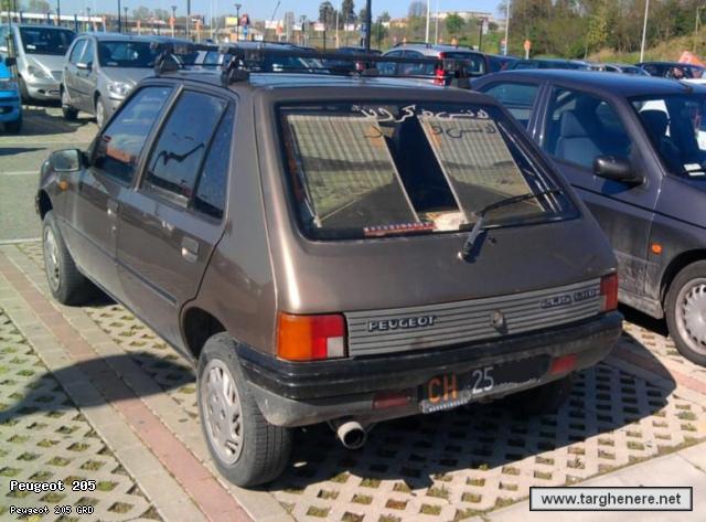 p205grddanlib.jpg