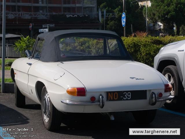 duettosilverfox20241031.jpg