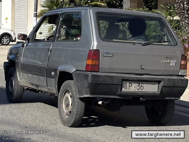 fiatpanda4x4frabo20241111.jpg