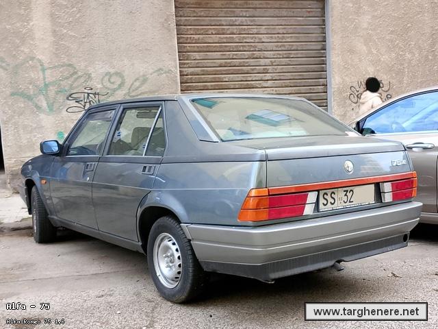 alfa75total20241112.jpg