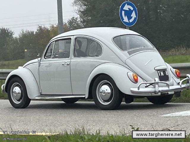 maggiolinofrabo20241118.jpg