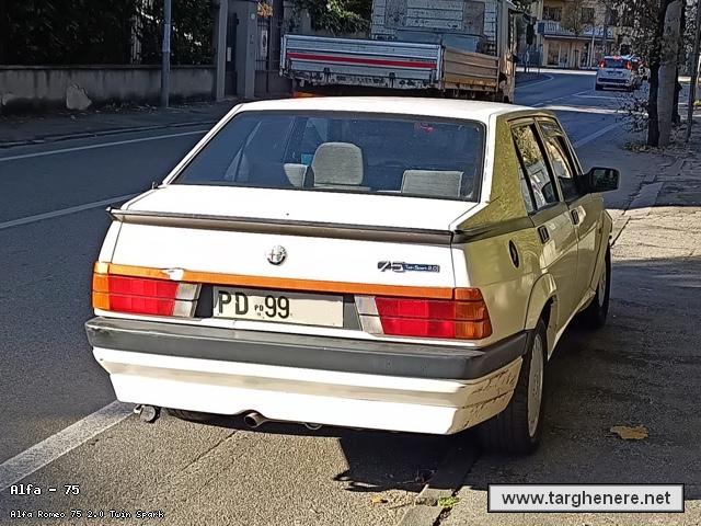 alfa75famvit20241207.jpg
