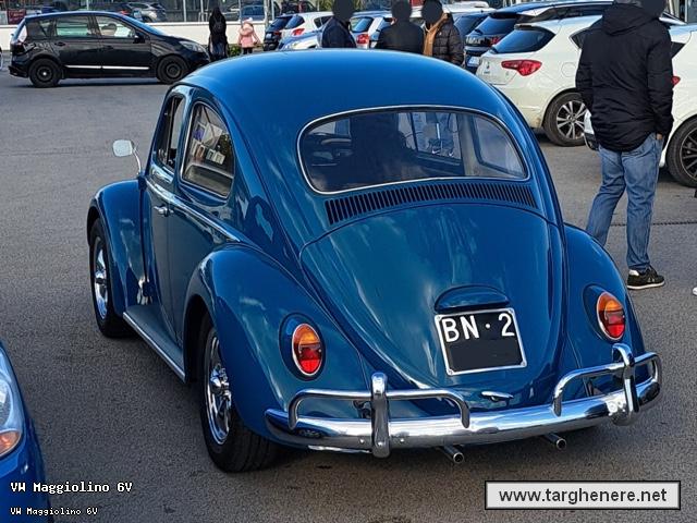 maggiolinoargiuliasuper20250114.jpg