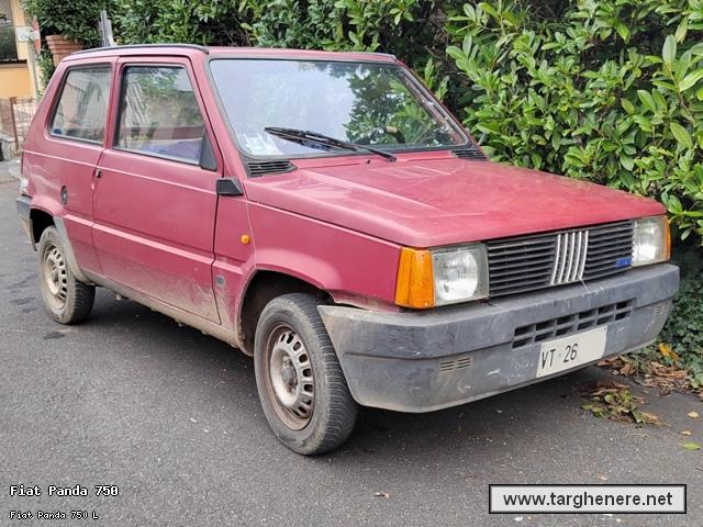 fiatpandagiovannispalla20250125.jpg