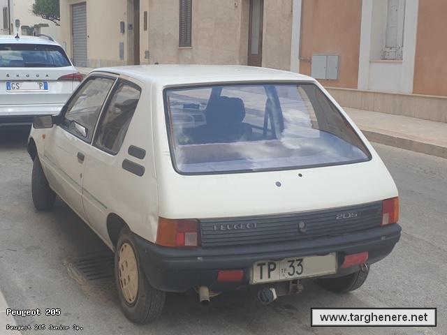 peugeot205luka9620250203.jpg